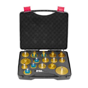 Kit de Purga de Frenos Maestro, 17 uds, Juego de Adaptadores de Purga de Frenos Profesional con Kit Completo y Manija, Apto para la Mayoría de Vehículos Nuevos y Viejos, 360 x 310 x 90 mm