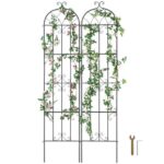 Enrejado de Metal para Plantas Trepadoras 51 x 220 cm Soporte para Rosas Trepadoras 2 Piezas Arco para Enredaderas Soporte para Pepinos Decorativo para Clemátides para Patio, Césped, Jardín