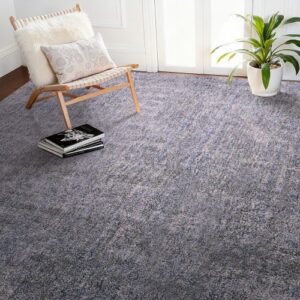 VEVOR Alfombra de Pelo Corto 3658 x 2743 mm, para Salón, 20 mm de Altura, para Interior, para Salón y Dormitorio, sin Pelusa y con Base Antideslizante de TPR, Combinación de Azul, Blanco y Gris