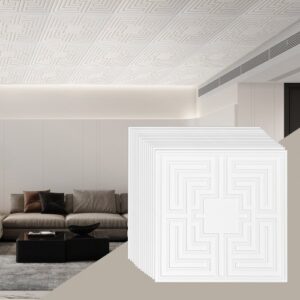 VEVOR - Paneles para techo, paquete de 12, 24 x 24 pulgadas, paneles para techo suspendidos, láminas de PVC de primera calidad, fácil instalación/corte, paneles de plástico para techo pegados, revestimiento de techo para decoración del hogar/oficina, patrón de eco blanco