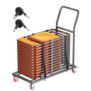 Carro de Transporte profesional